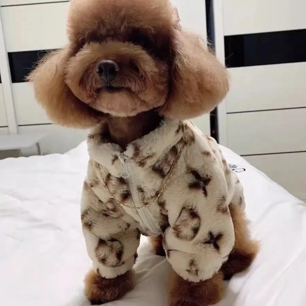 N/A cat dog